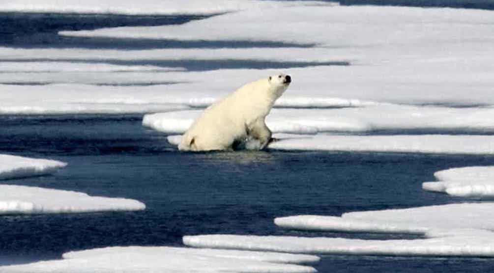 ClimateReality's tweet photo. It’s time to fight like our world depends on it https://t.co/DEBH8li8rA https://t.co/3NYBuidDyO