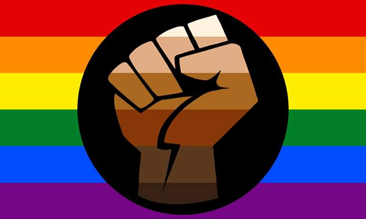 I have adopted this as my gay pride flag ... For u self loathing fags that only date white boys and as