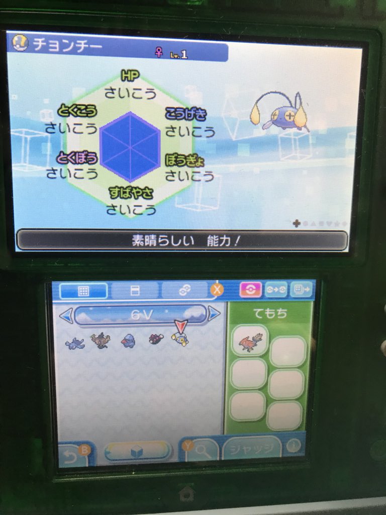 ポケモン6v記録 Twitter