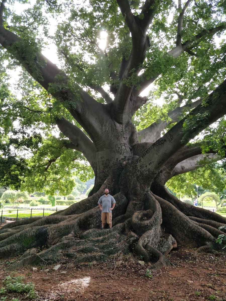 goabhigo's tweet photo. @danieljpeter enjoying the morning walk with big trees of #lalbagh.
#DanInNammaBLR #sfdgblr https://t.co/AfR1H2gmk9