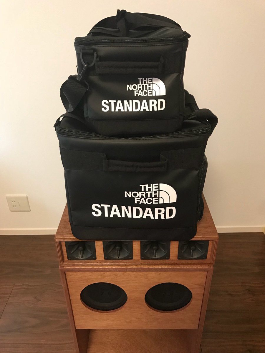 the north face standard record bag 