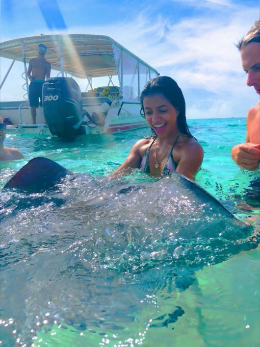 3 pic. Today I played with a #stingray #stingraycity #grandcayman #caymanisland #caymanislands I was