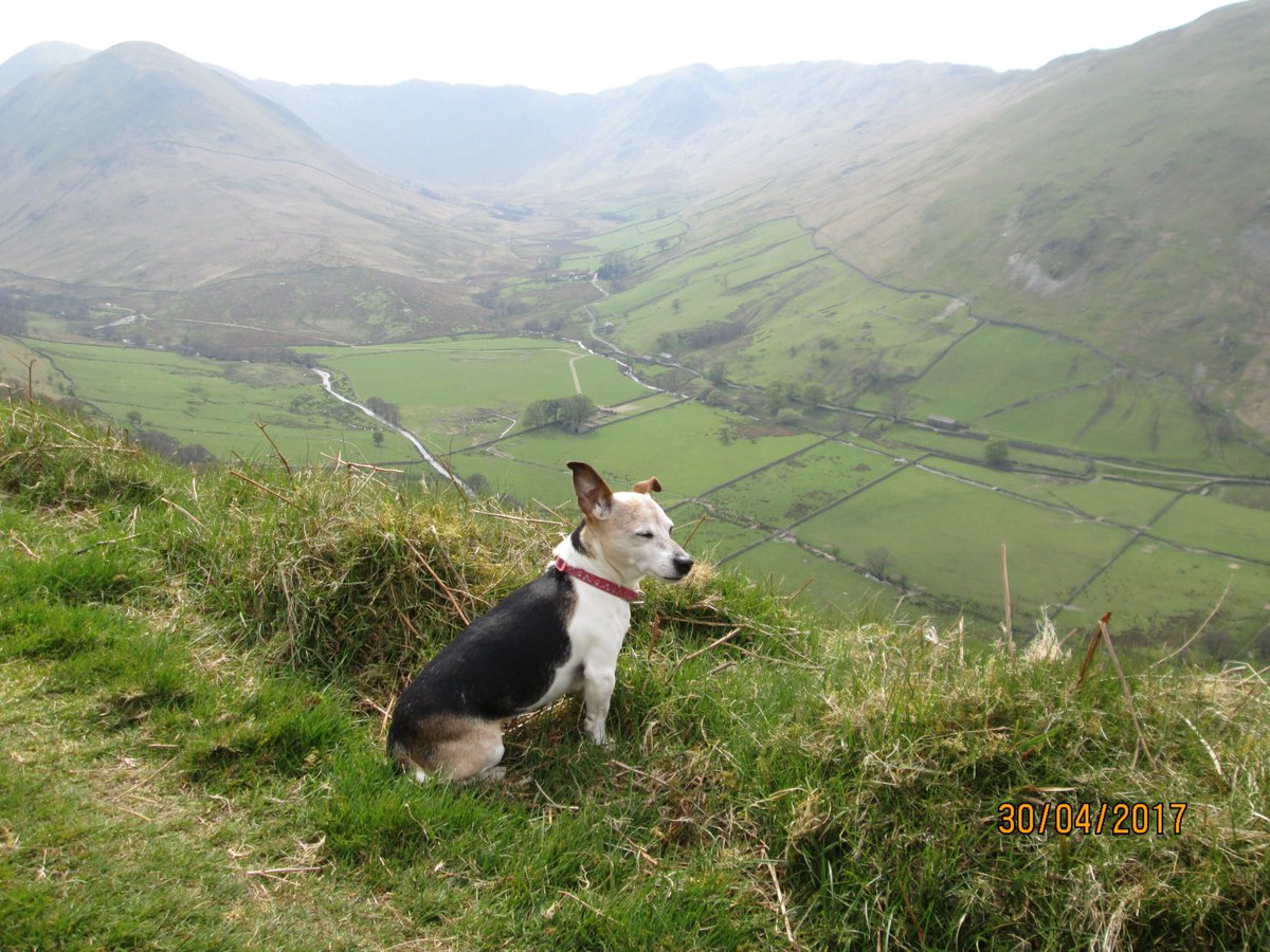 Steve Angus tweet media