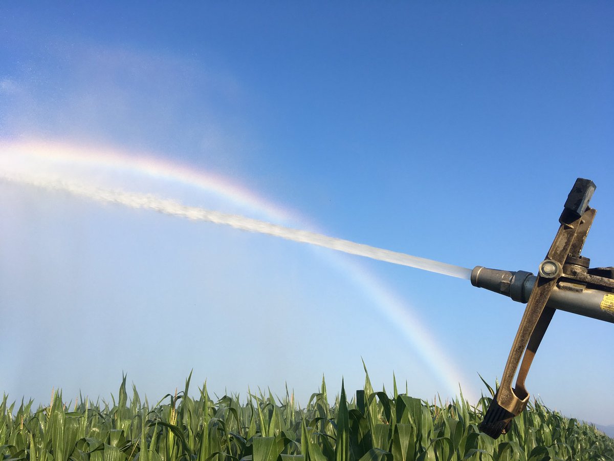 Patoon68's tweet photo. Bon week-end, bonne #moisson18, bonne #irrigation18 https://t.co/WiP4e0F7Vy