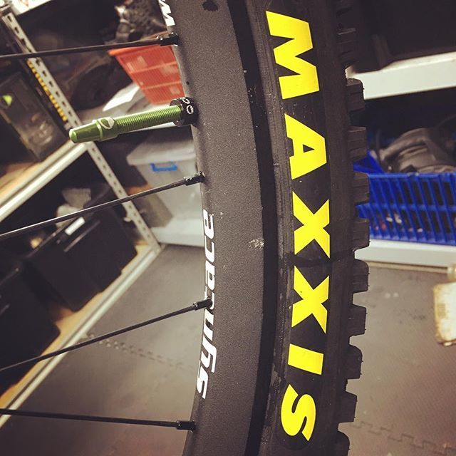 ProCaf's tweet photo. Normally I would unseat the tyre again and align the valve to the exact point between the XX in Maxxis but considering this is my first attempt at @cushcore that idea can go and get fooked. Just a good excuse to pull #maxxskids tomorrow then! https://t.co/d1psQTjQOW https://t.co/ueTd6YzQff