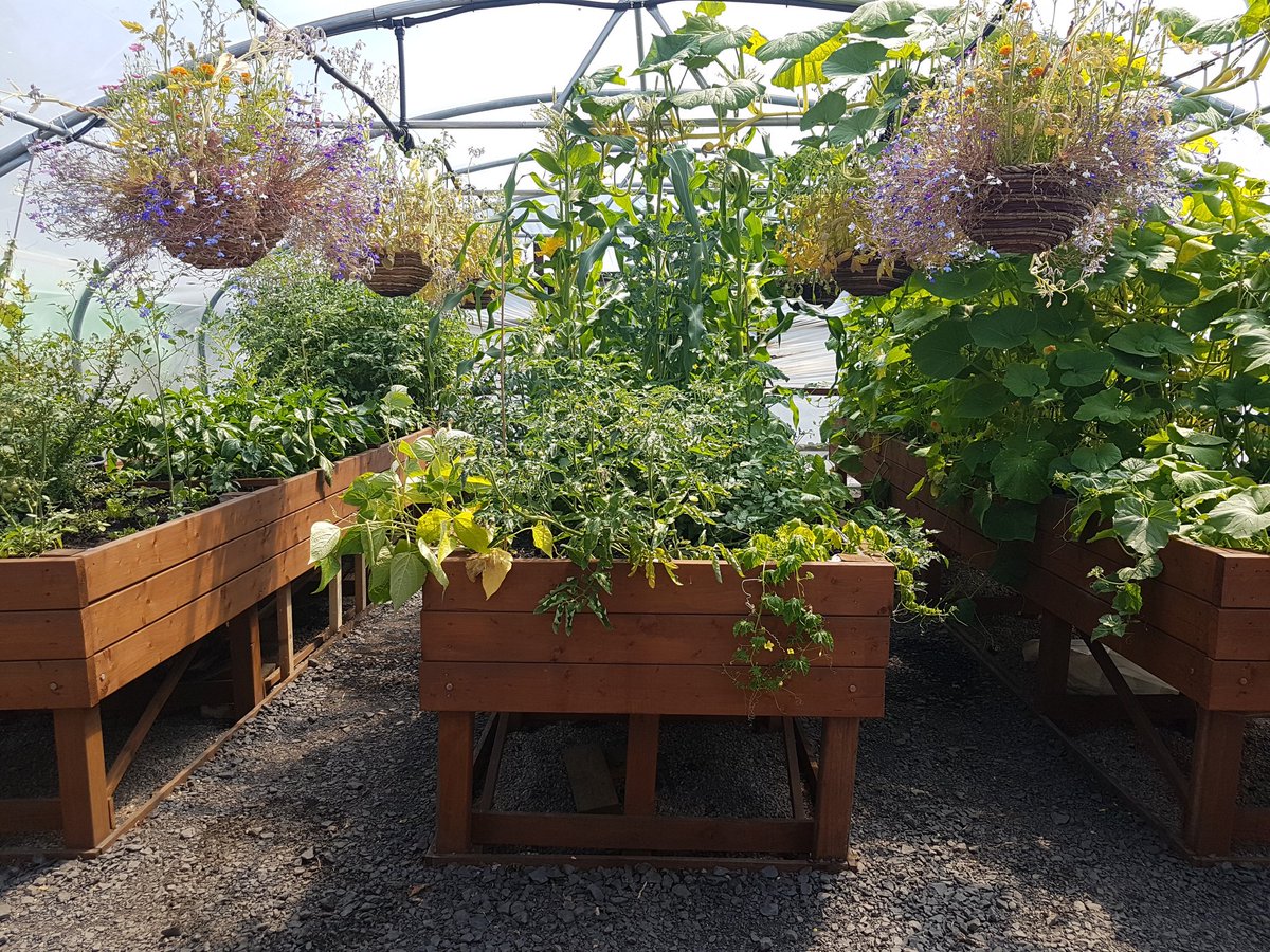 BodiesPendle's tweet photo. The Garden Project is in full bloom! Feel free to pop down and see what we're all about and check out all of the glorious, organic fruits and vegetables. https://t.co/asvP3EuAdn