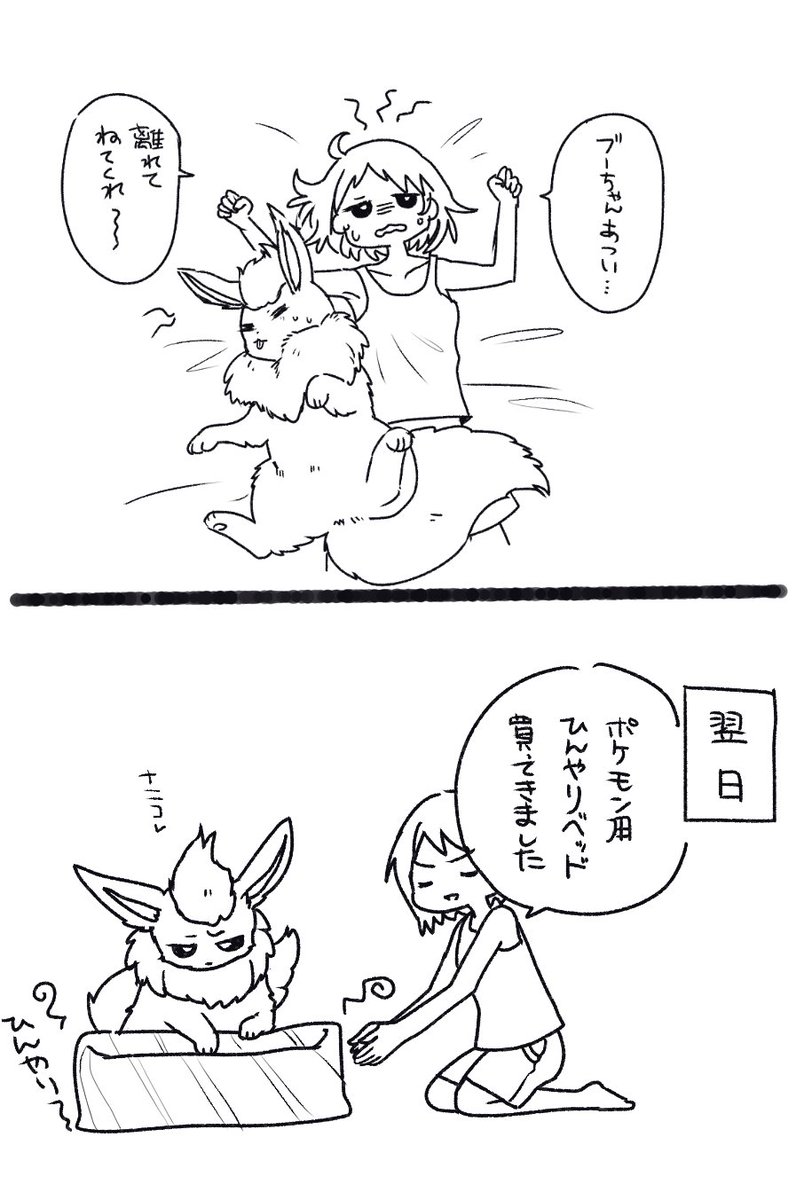 海音おうち Twitterissa ブースターとトレーナーの夏の夜 プロジェクトイーブイ