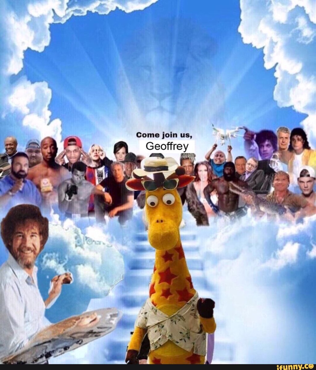 Michael Cerminaro (cerm1142) Twitter