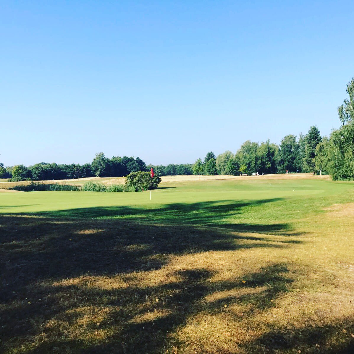 Volle bak met #GolfTON spelers vandaag <a href="/BestJeugdOpen/">Best Jeugd Open</a> Coaches in de baan om te observeren @KinderenEric <a href="/Eindhovensche/">EindhovenscheGolf</a> <a href="/Rosendaelsche/">Rosendaelsche Golfclub</a> <a href="/NGF_/">NGF</a> <a href="/Golfnl/">GOLF.NL ⛳️</a> <a href="/PGAHolland/">PGA Holland</a>