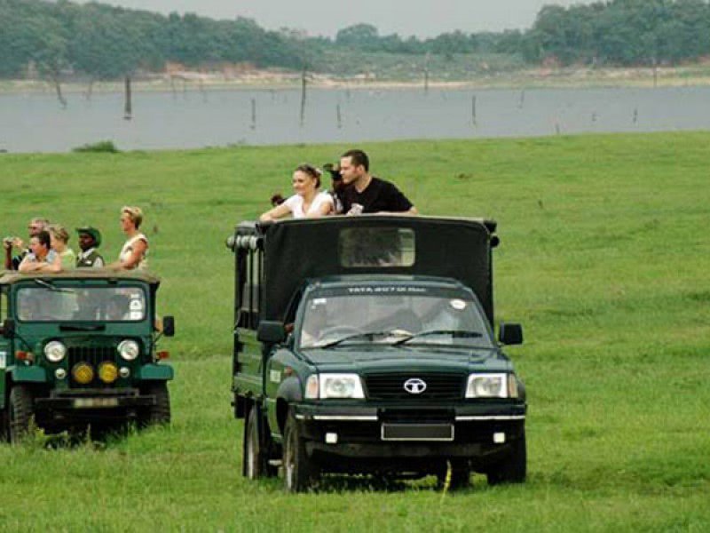 classytours's tweet image. Wilpaththu National Park
The largest of the National Parks in Sri Lanka. .Visit srilankaclassytours.com to book your next wild life holiday in Sri Lanka

#lankaclassytours #wilpaththu #lakes #garden #nationalparks #farms