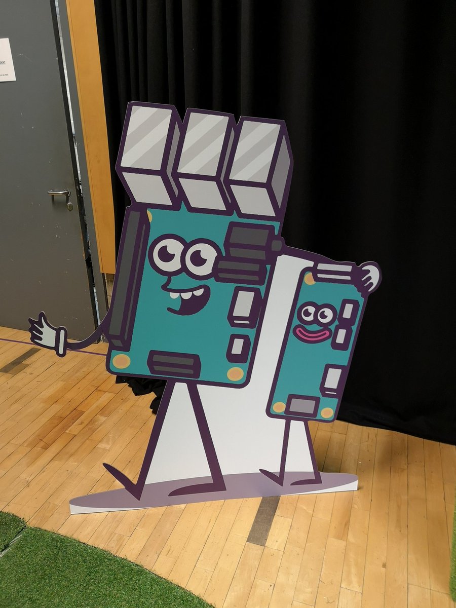 duck_star's tweet image. At #raspberryfields helping out today. Ready for the briefing.