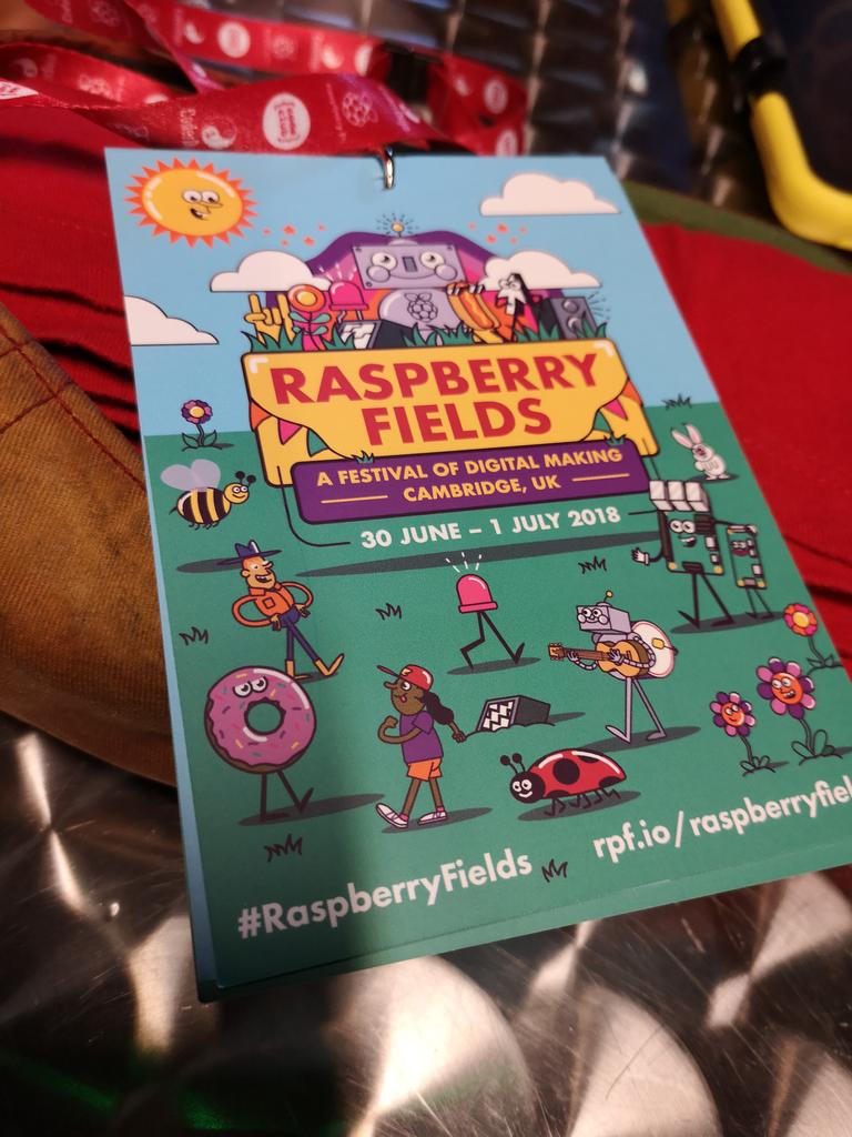 duck_star's tweet image. At #raspberryfields helping out today. Ready for the briefing.