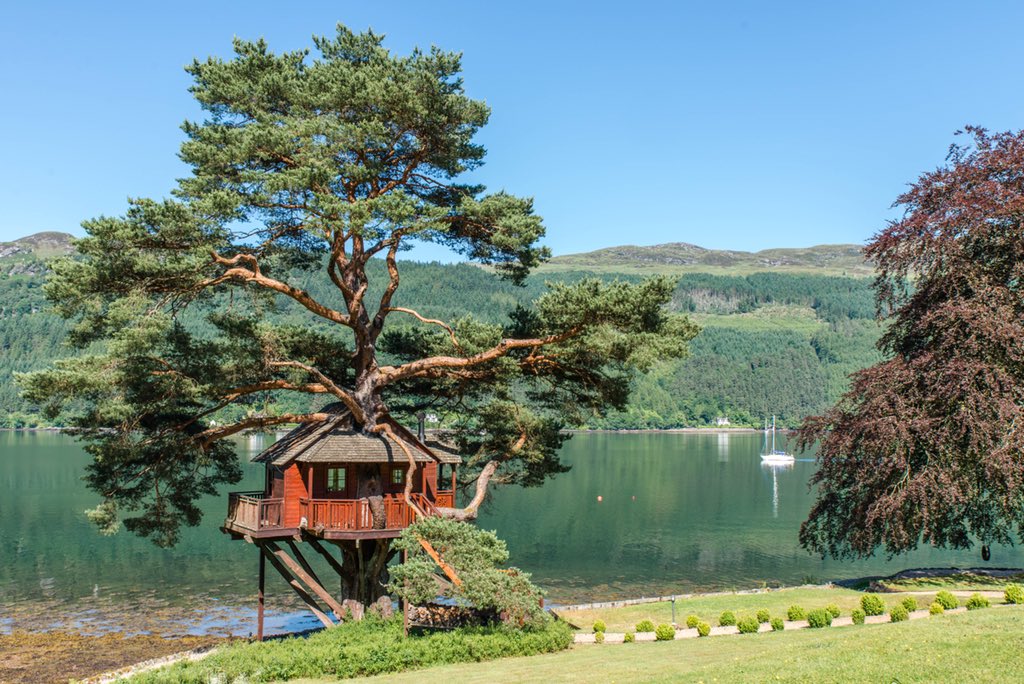 paulsaundersmtg's tweet image. Loved visiting @lodgeonlochgoil during a visit to Cowal in the week. What a setting #lochgoil #argyll #treehouse