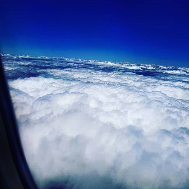 markwaterhouse1's tweet photo. #cottonwool #flying #abovetheclouds #closetoheaven #37000ft https://t.co/T7y3IO2hAr https://t.co/dGNEFoCvAA