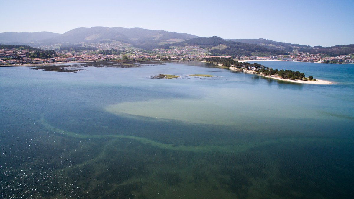 #BuenosDias desde el #estuario Foz do Miñor en #ValMiñor #RiasBaixas  #FelizSábado #estuariofozdomiñor