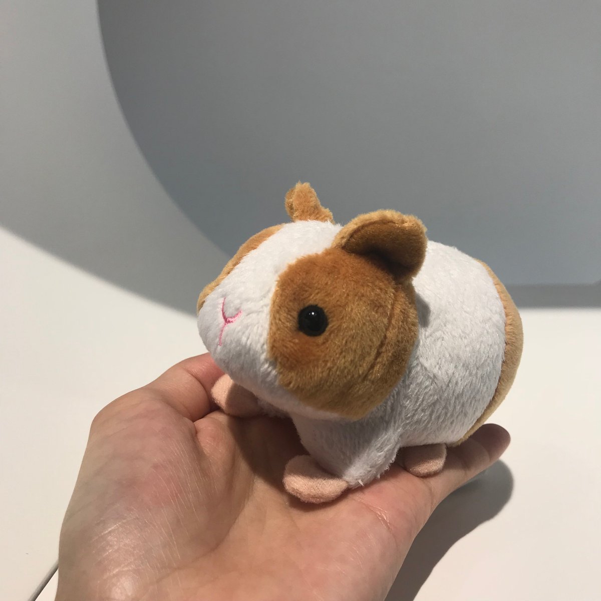 株式会社aqua公式 どこでもフレンズキーホルダーに新しい仲間が増えました 手のひらサイズのかわいいモルモットとうさぎです 可愛くて癒される ぬいぐるみ うさぎ モルモット 動物園 株式会社aqua公式 どこでもフレンズキーホルダーに新しい仲間が増えました 手のひらサイズのかわいいモルモットとうさぎです 可愛くて癒される ぬいぐるみ うさぎ モルモット 動物園