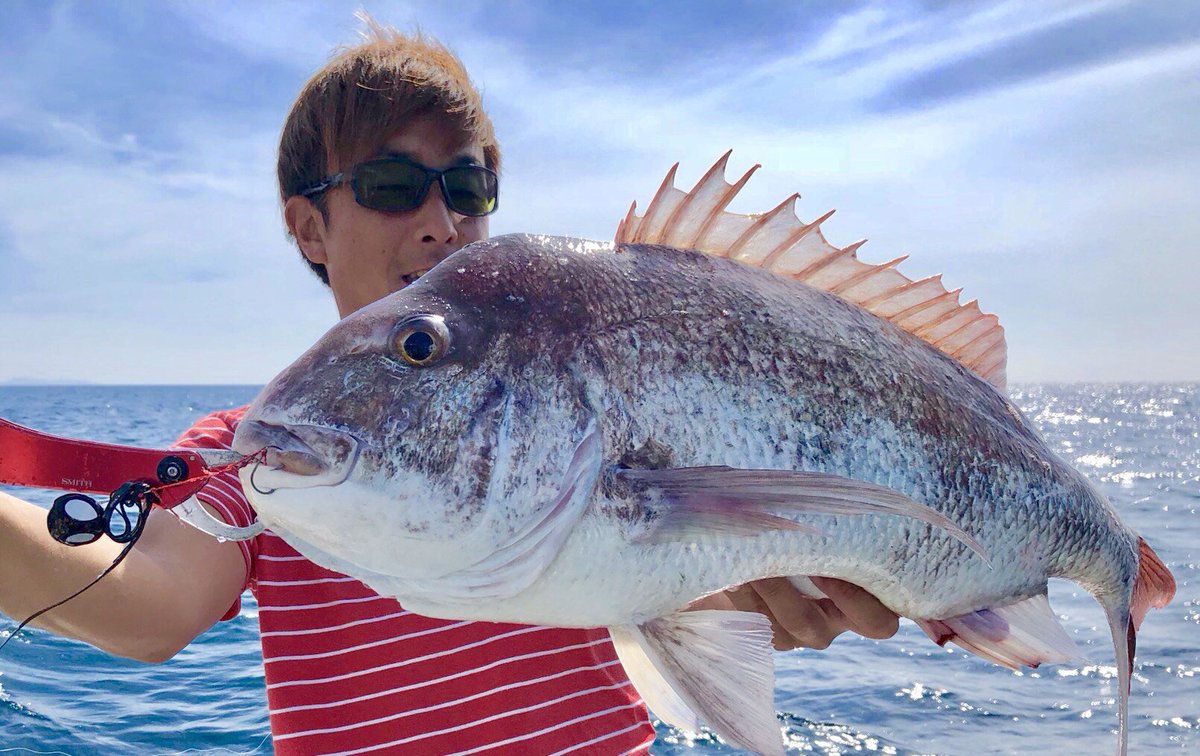 rapalajapan's tweet photo. アフター期に突入し、あちこちに散ったた真鯛をシルエットブラック&amp;強波動で呼び寄せて4.5キロをキャッチ!!
#ドカン #ストーム #ラパラ #釣り ＃スナッパーボール #ルアー #タイラバ #ディープグリーン #GROOVE #fishing #docan #rapala #storm #lure #snapperball #DOCANフォトコン #rapafan https://t.co/bdHnjyski5