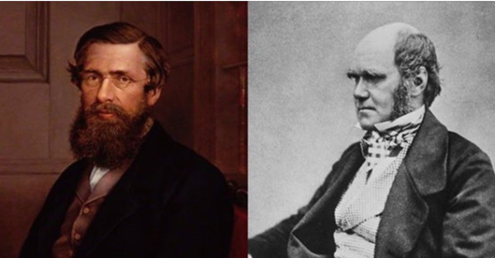 Hoy se cumplen 160 años de la teoría de la evolución. El 1 de julio de 1858 se presentó en Londres la teoría de la selección natural, de Wallace y Darwin. Para reivindicar a Wallace como coautor, celebramos hoy el “cumpleaños de la evolución”. bit.ly/2N8TCUW