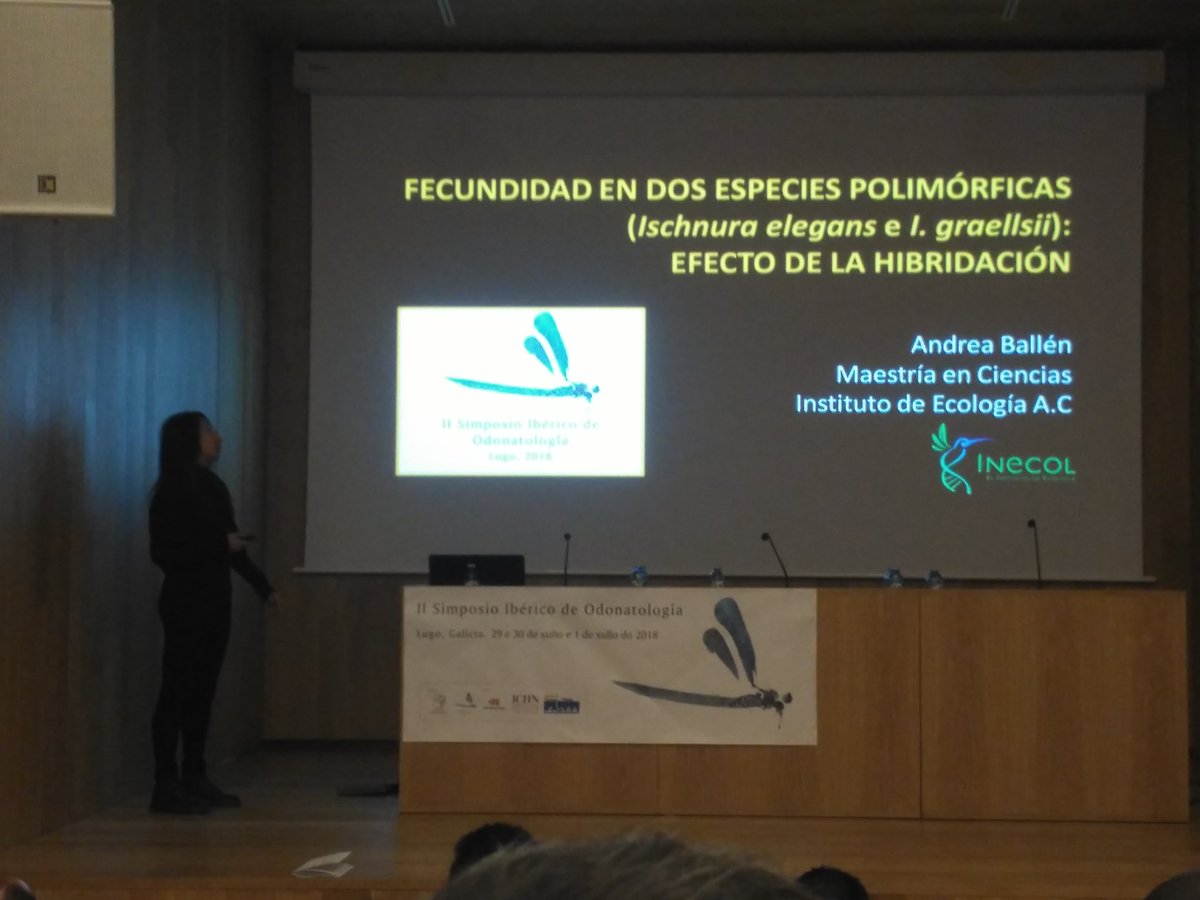 Grupo Ibérico de Odonatología tweet media