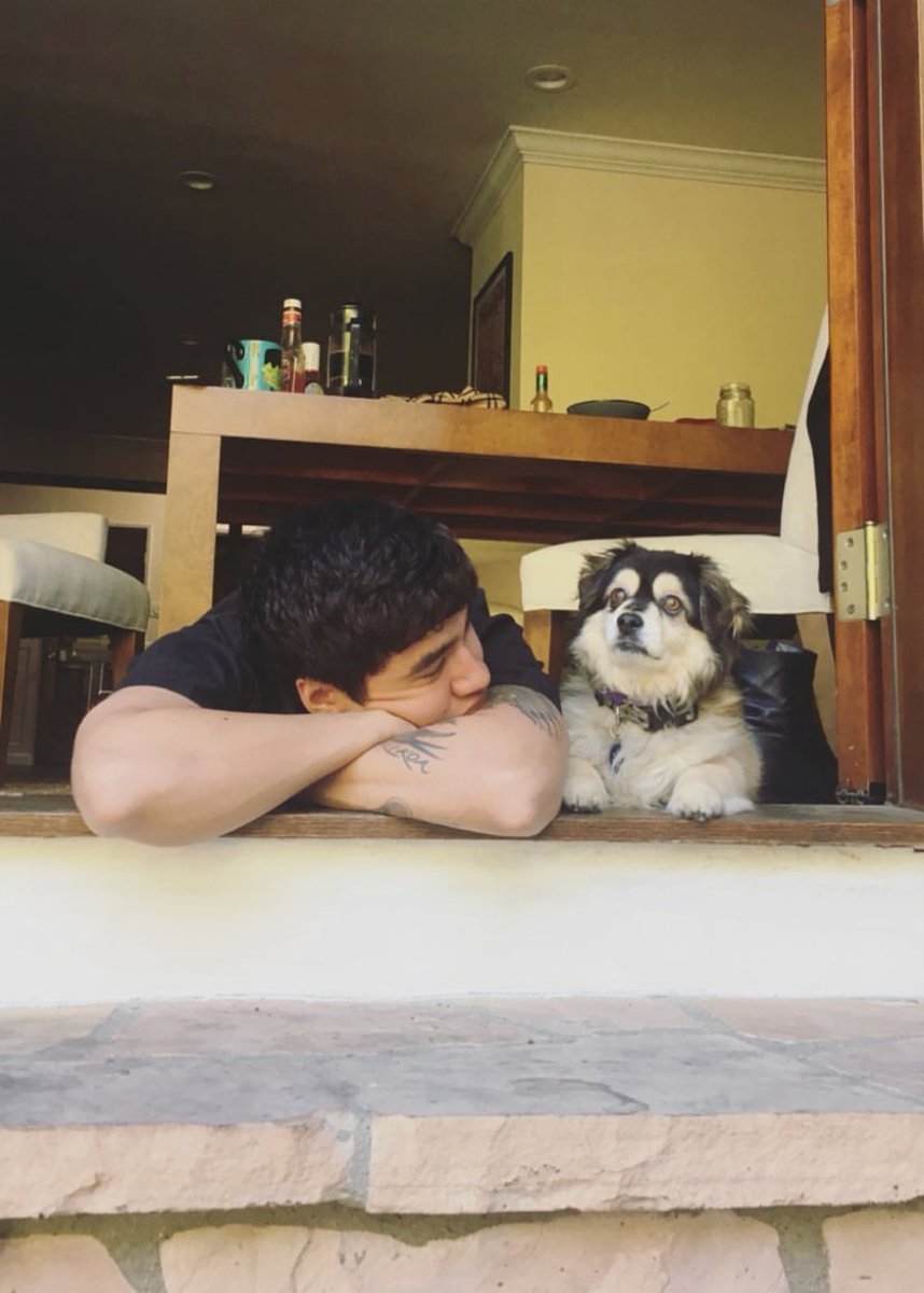 CalumUpdating's tweet image. Calum with Duke!