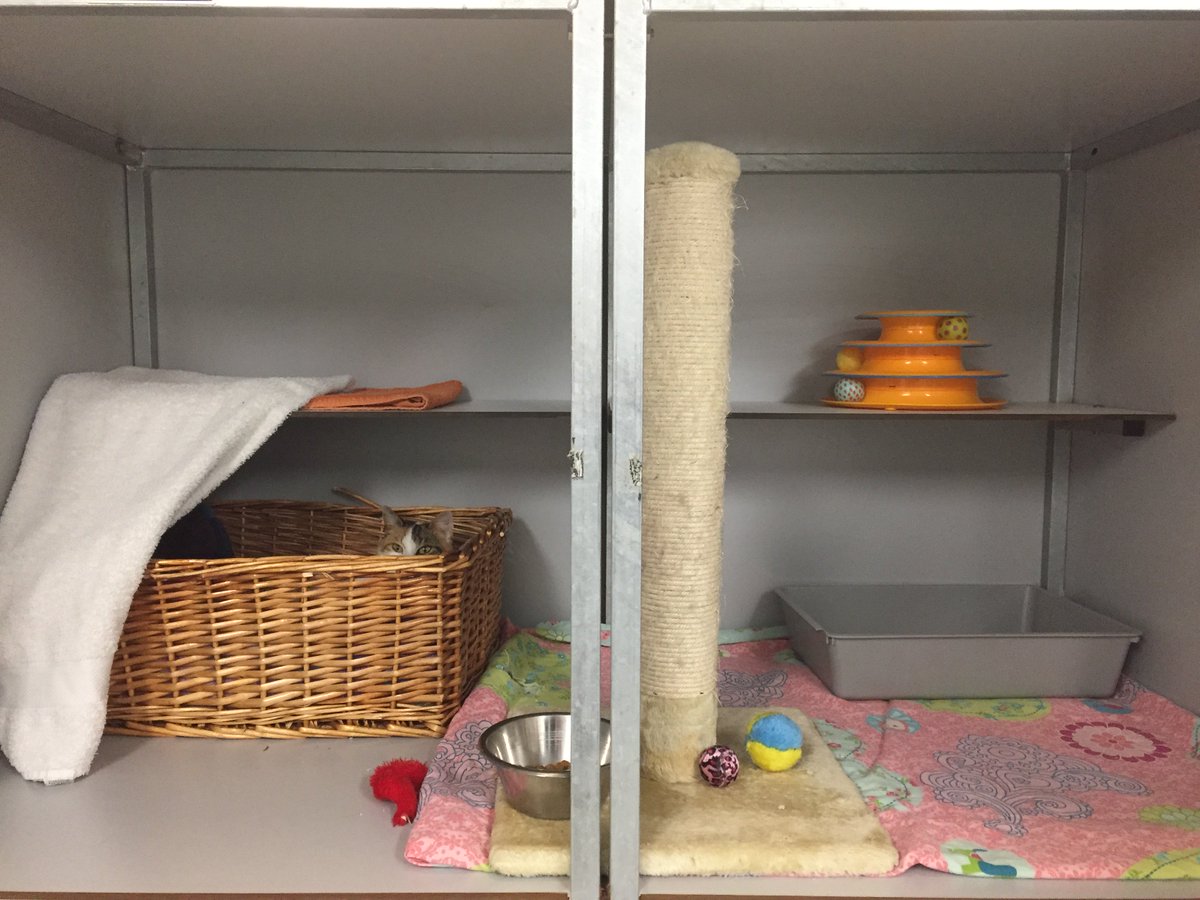 DierenLot's tweet photo. Nieuwe #quarantaine verblijven voor het #Haags #Dierencentrum -> https://t.co/PlJ3v18OSR #dierenhulp #dierenopvang https://t.co/wcTm2FUN6B