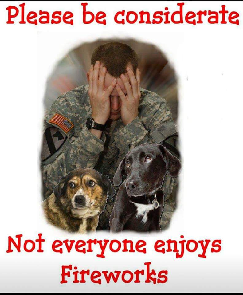 @_CFJ_ @USMCWWR @andyoaklee @MilitaryHC @LeahRBoss @MilitaryEarth @johnemichel @Miller51550 @fritzmt @_MilitaryStrong @vcortesusmc #Veterans #dogs #pets #July4th #JulyFest #PTSDAwareness #ptsd
