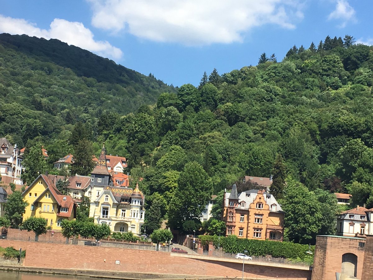 Homes build for professors in Heidelberg, Germany #respectforeducators #teachingprofession