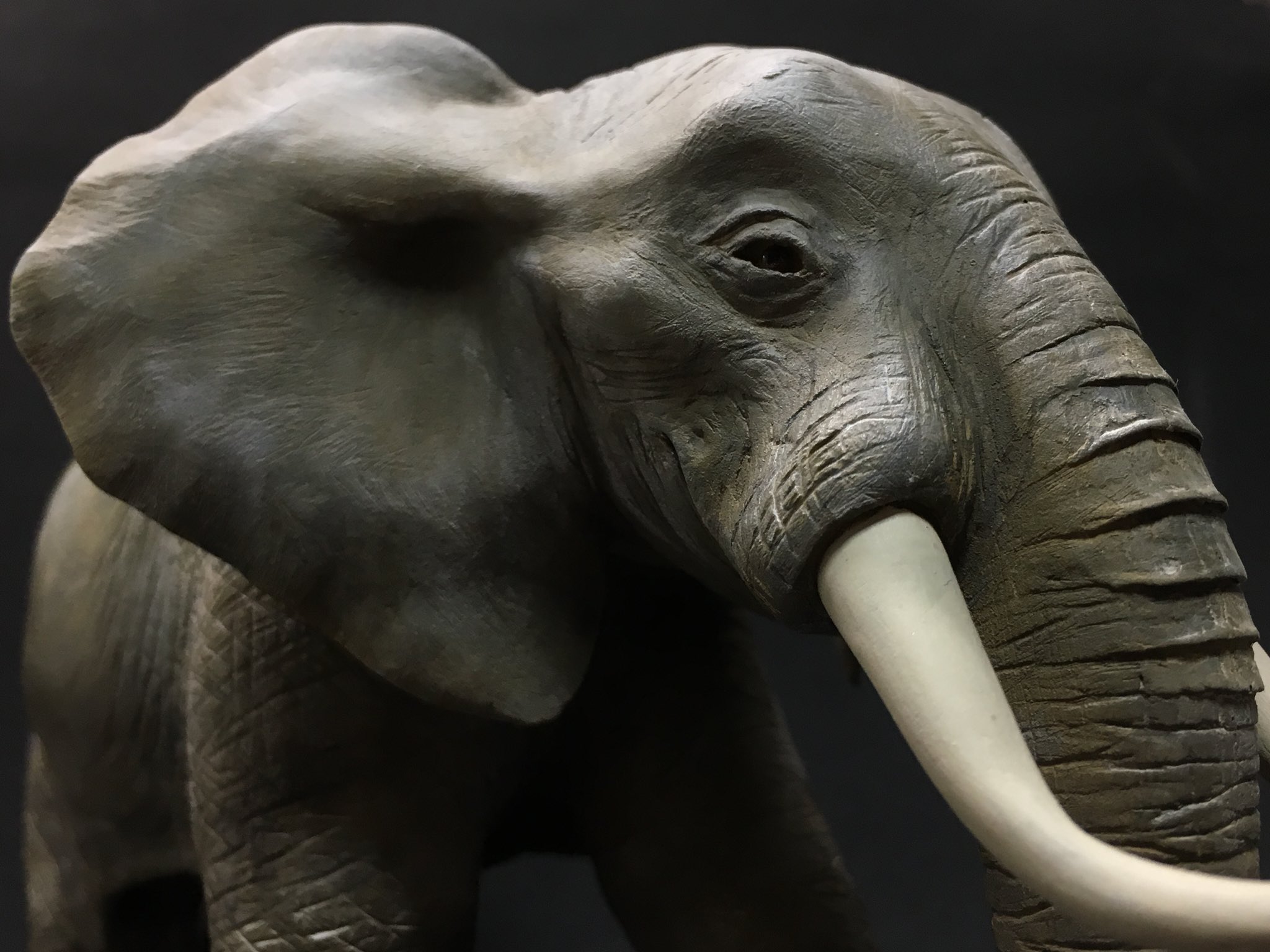 Twitter पर ぎあい リアルな動物フィギュア デフォルメ動物フィギュアを販売します リアル シリーズ 細部にまでこだわったリアルなフィギュア ポッケ シリーズ 二足立ちのデフォルメフィギュア やれることはやったゾウ 明日のクリマ頑張るゾウ