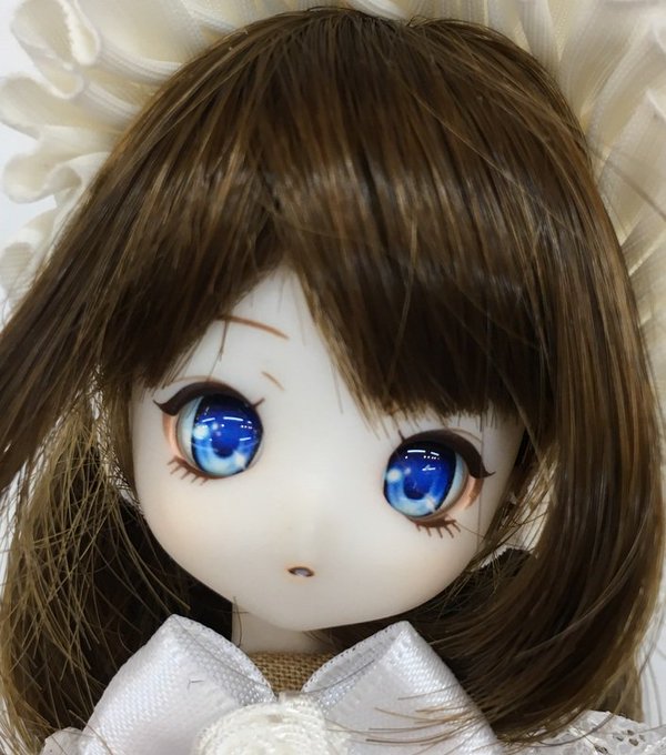 レビュー高評価の商品! 参考♪カンカンキャット shino.doll No.451