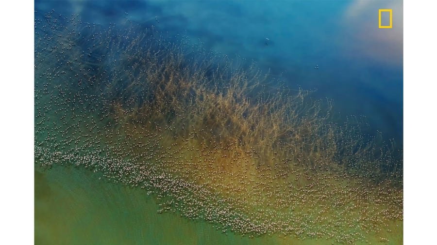CNN's tweet photo. These are the stunning winners of the 2018 National Geographic Travel Photographer of the Year https://t.co/OnpEylZggI https://t.co/TaRGtmULtU