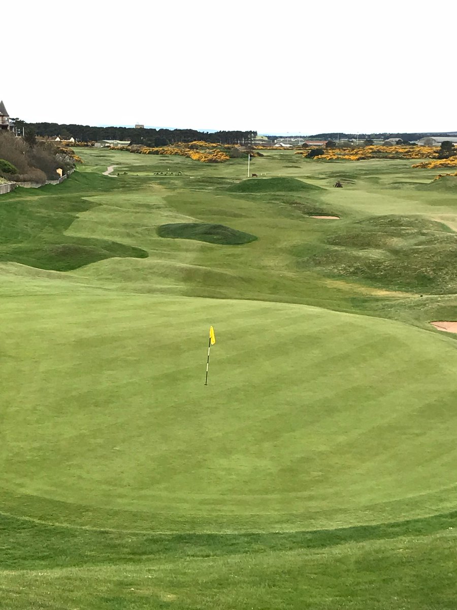 Moray Golf Club tweet media