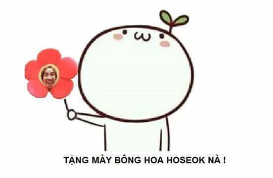 mèo tặng hoa meme｜Tìm kiếm TikTok