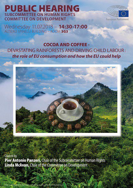 .<a href="/EP_President/">Roberta Metsola</a> "The European Parliament commits its legislative work to defending children's rights" BUT <a href="/EP_HumanRights/">DROI Committee Press</a> title puts RAINFOREST 1st &amp; #ChildLabor last. <a href="/AntonioPanzeri/">Pier Antonio Panzeri</a> Where are the poor CHILDREN or the HUMANS in the poster of #HumanRights hearing? #Greenwashing?