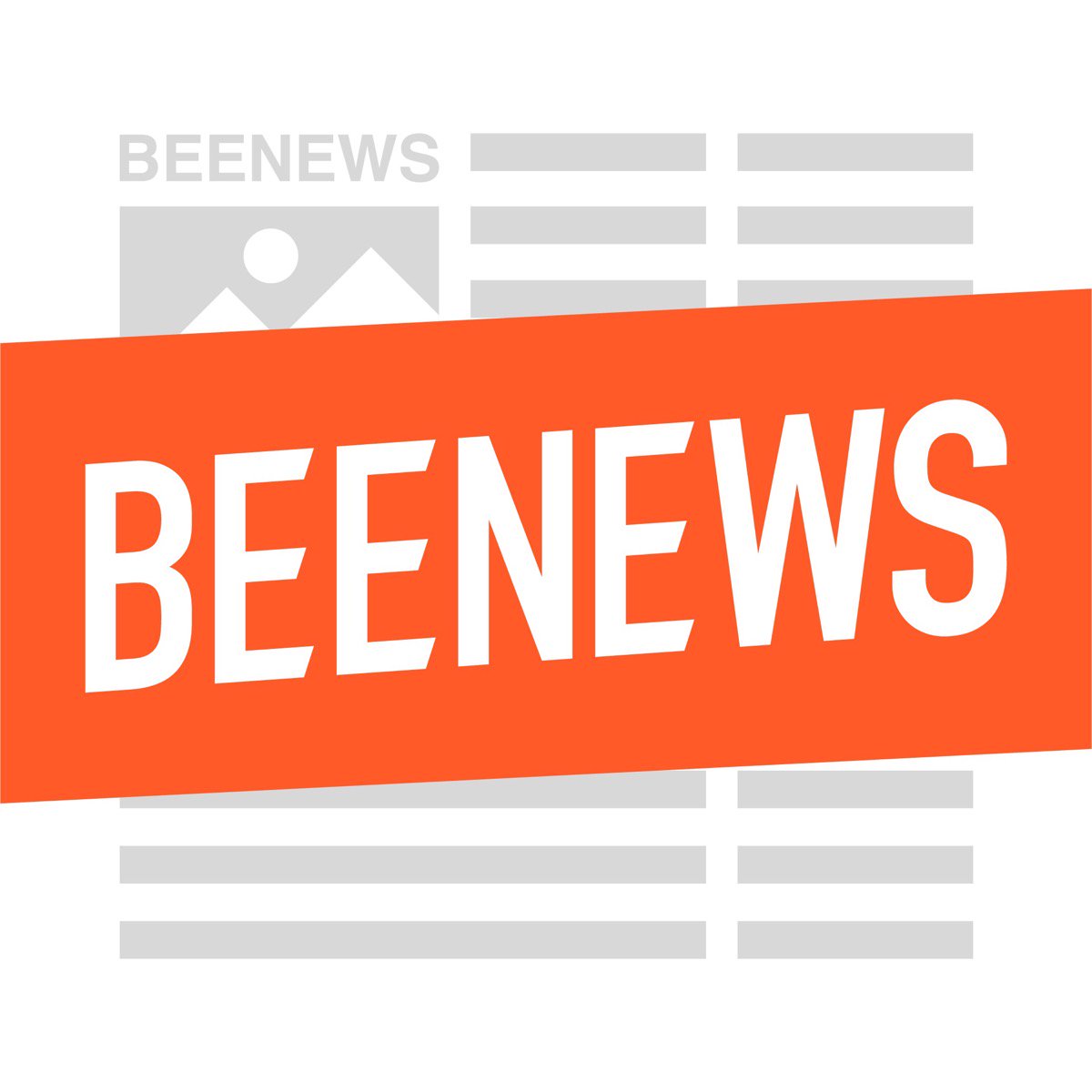 BeeNews tweet media