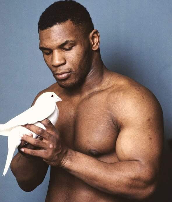 Happy Birthday to one of the best knockout fighter. Iron Mike Tyson. 
