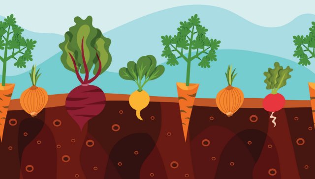 EliasGargallo's tweet image. Imagine use #IoT to control your garden, a Chatbot #oraclebot as a user interface, #Blockchain to track the vegetables... #CX #gardening #IoT bit.ly/2KxVCYd