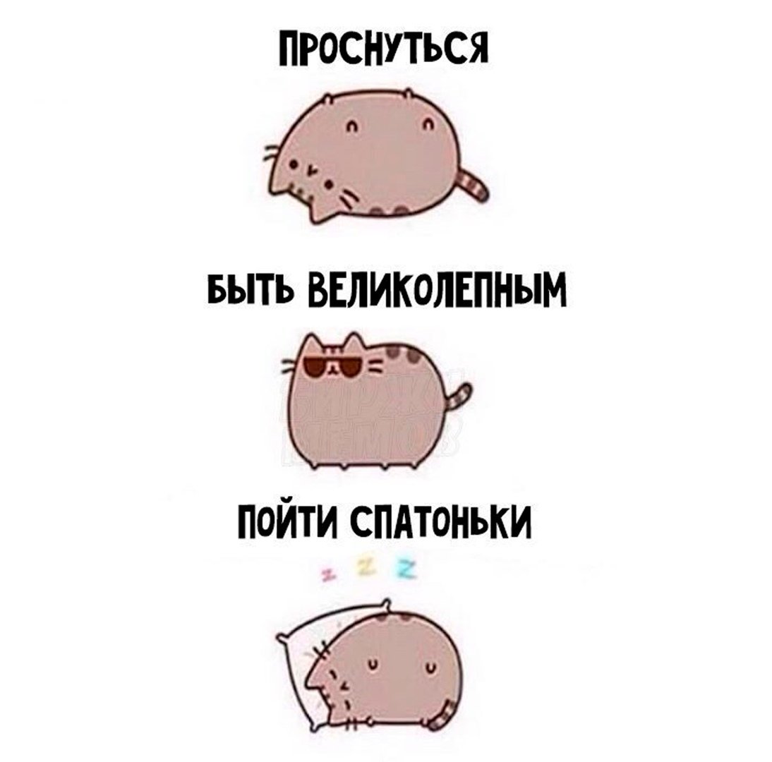 Картинка планы на день прикол