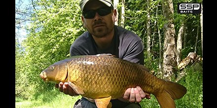 sspbaits's tweet photo. Mr Consistent Leigh Price has been enjoying the warmer weather catching fish like this stunning common on one of our SYSTEM-X trimmed down Washed Out Popups. #teamssp
https://t.co/YAiov188WQ | #SSPBaits #SystemX #MonsterX #SSPElements #AllSeasonSystemX #WashedOutPopups https://t.co/sUbQRe4z0p