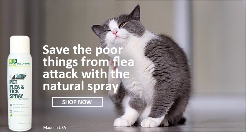 PyurSolutions's tweet photo. ZERO-STRESS PEST CONTROL.
Pet Flea &amp; Tick Spray is an Easy-to-use, safe formula for flea and tick on-contact kill. Our formulation for calming, itch-defense for our furry best friends.
Read more details: https://t.co/pY77OFUooE