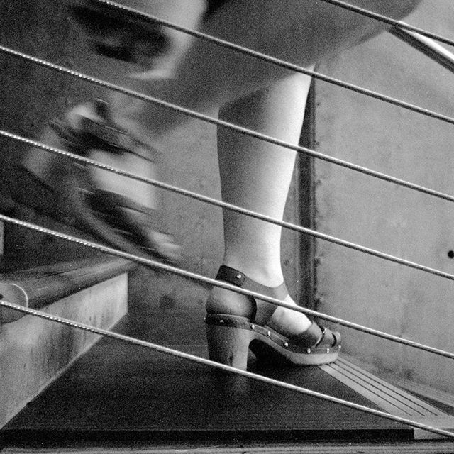 SamiRifat's tweet photo. Steps. .
.
#steps #35mm #streetphotography #35mmfilm #streetshot #filmphotography #filmisnotdead #filmisalive #itstheprocess #theprocess #believeinfilm #ishootfilm #jchstreetpan400 #jchstreetpan #konica #konicaa4 #pointandshoot #stairs #lenstherapy #film… https://t.co/7hBg8araIF https://t.co/MFHxoZZQDe