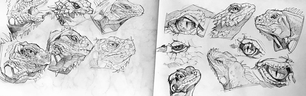爬虫類顔
模写練習 