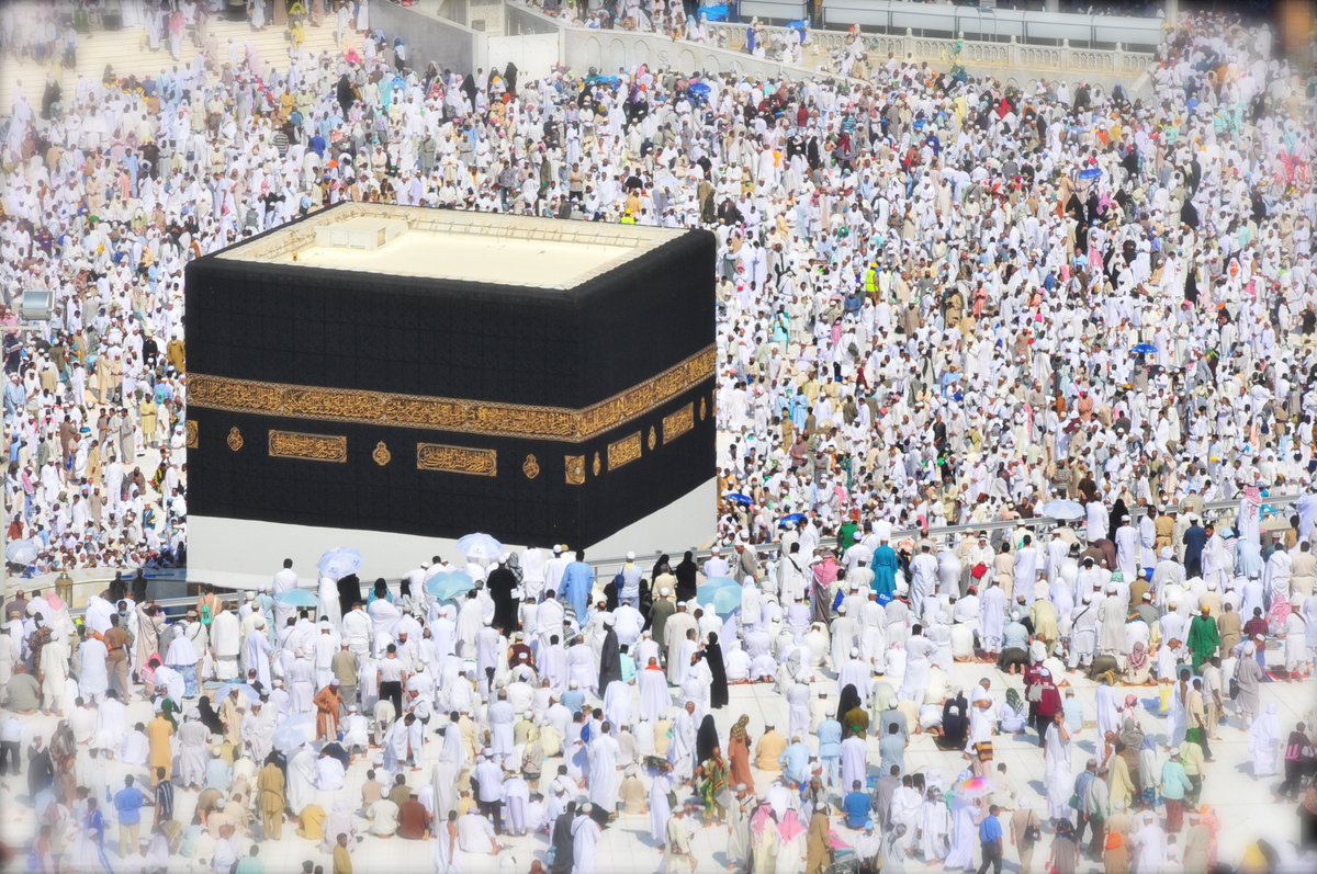 UmrahnHajj786's tweet photo. Cheap Flights To Medinah
#Medina #faith #hadith #lord #Travel #believe #deen #sunnah #medinah #Hajj #amin #madina #Mecca #madinah #sünnet #Umrah_Packages #Umrah #Jeddah #Saudia_Arab #Cheap_Flights #Direct_Flights #islam #traveling #umrahNHajj
https://t.co/8mJq57DBYP https://t.co/dUFdEenRWB