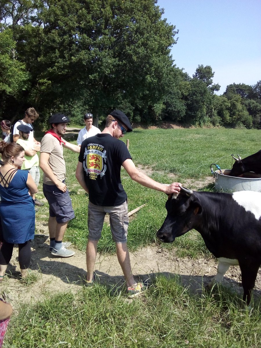 Ce matin, des jeunes de toute la France ont découvert la <a href="/BretonnePieNoir/">Bretonne Pie Noir</a> au GAEC du buis sonnant ! Venez découvrir la Montbéliarde au rendez-vous !