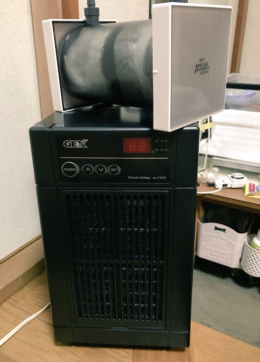 タォニァ Auf Twitter 水槽用クーラー 買ってきた デカくね W デスクトップpcみたいw 水槽と対して変わんない にしてもウーさん あなた本当にお金かかる子ね あなた自体はufoキャッチャーで百円だったのにw 水槽2千 3 ろ過機7千 ヒータ1万 クーラー2万5千 タォニァ Auf Twitter 水槽用クーラー 買ってきた デカくね W デスクトップpcみたいw 水槽と対して変わんない にしてもウーさん あなた本当にお金かかる子ね あなた自体はufoキャッチャーで百円だったのにw 水槽2千 3 ろ過機7千 ヒータ1万 クーラー2万5千