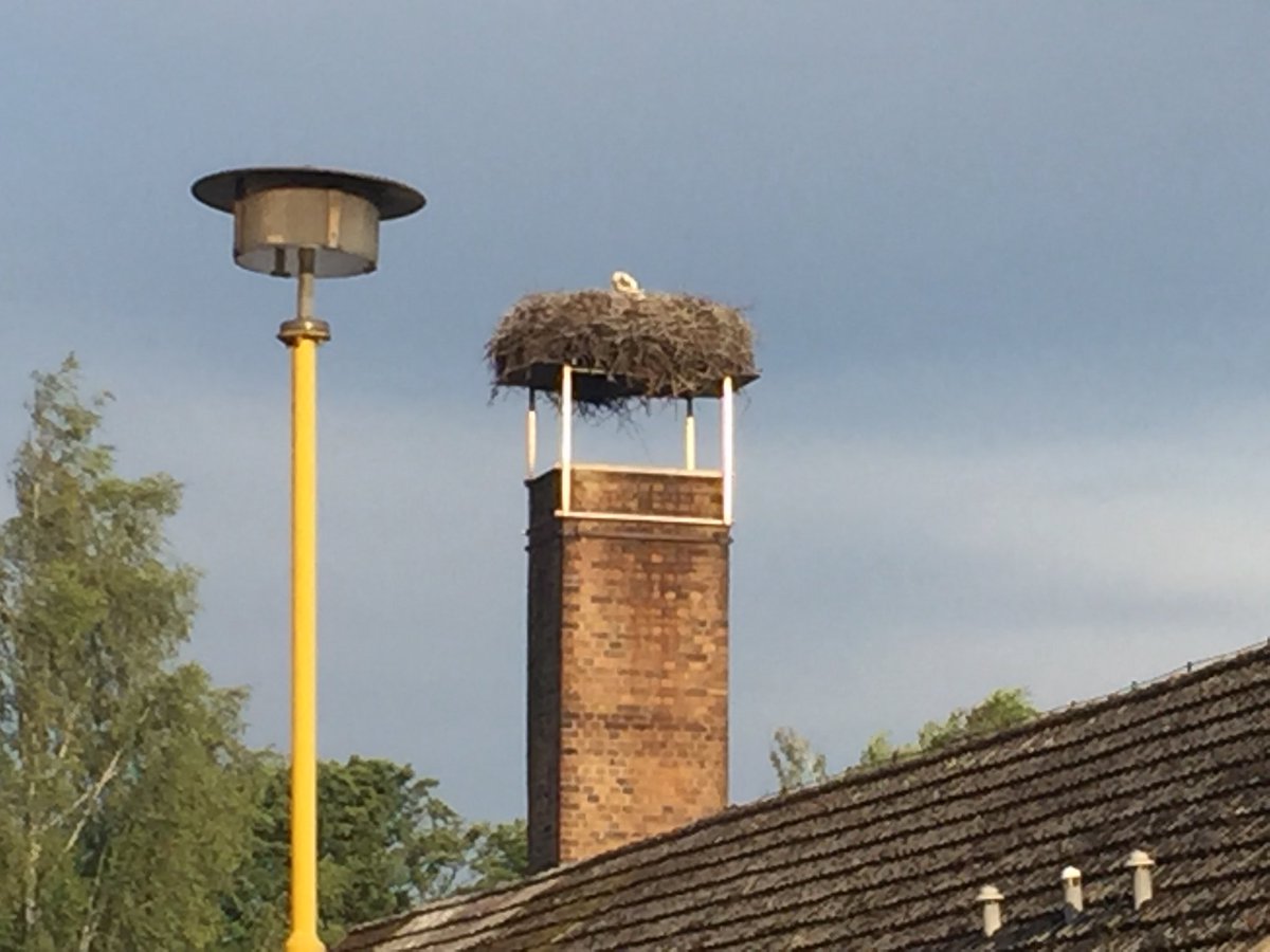 2nd Infrastructure tweet media