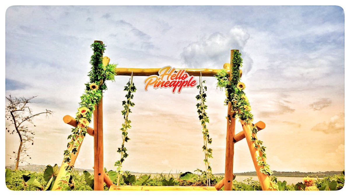 Spartakussug's tweet photo. Welcome to a new idea; the idea that you can enjoy a different environment, a chilled out experience, a new way to turn up. #HelloPineapple https://t.co/fPRiNmSzxg