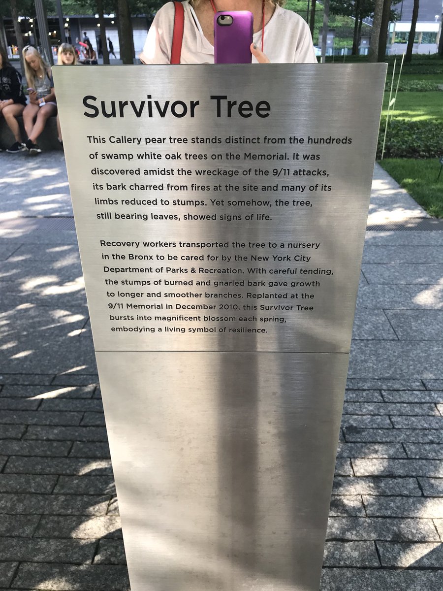 EGFCMS's tweet photo. 9-11 Memorial.  #EGFPride #CMSPride #WorldClassrooms #DC/NYC https://t.co/NE8mLIfiIB