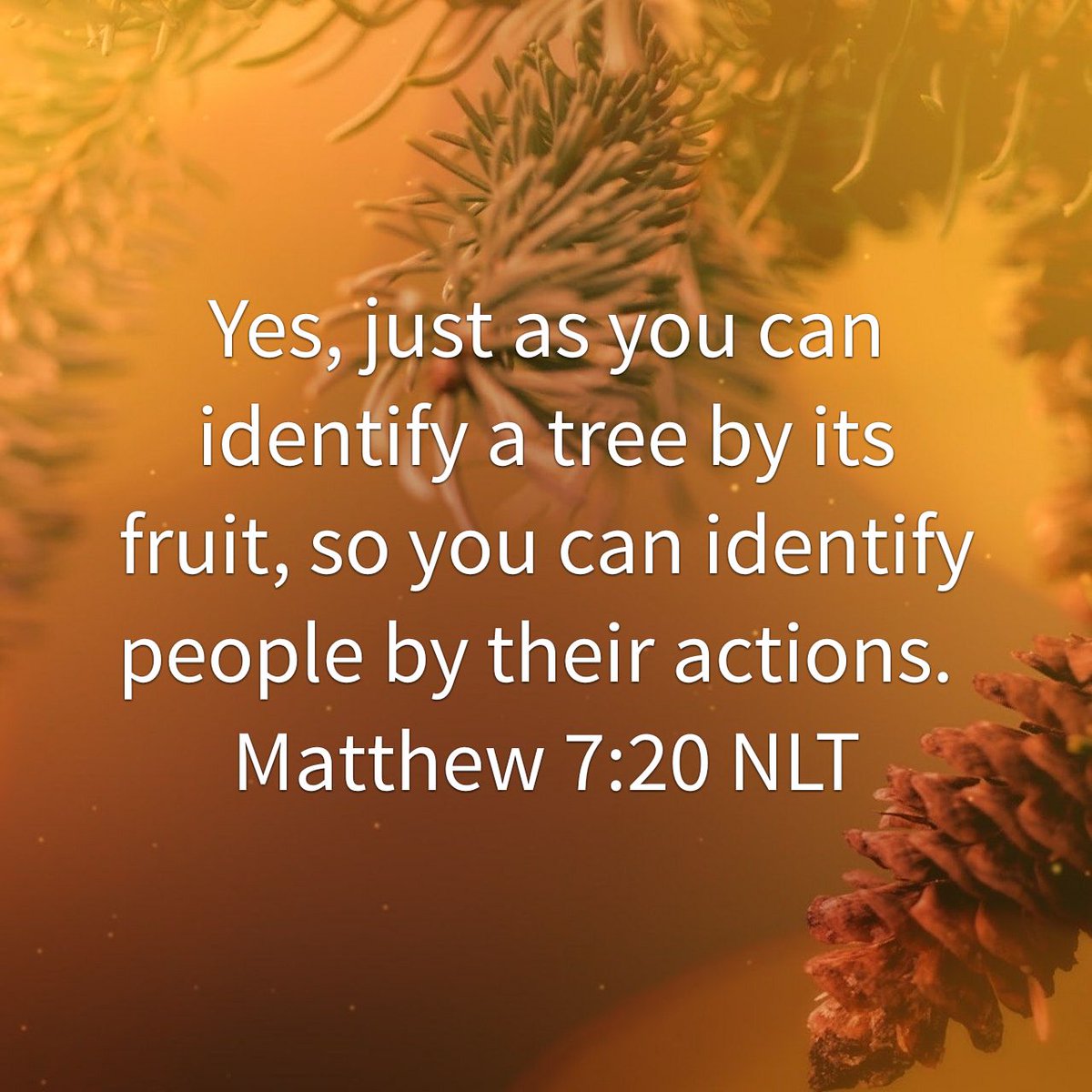 elder_eureka's tweet photo. Yes, just as you can identify a tree by its fruit, so you can identify people by their actions.
M…
https://t.co/MKSnrBzqHm https://t.co/8blGKjg5kK