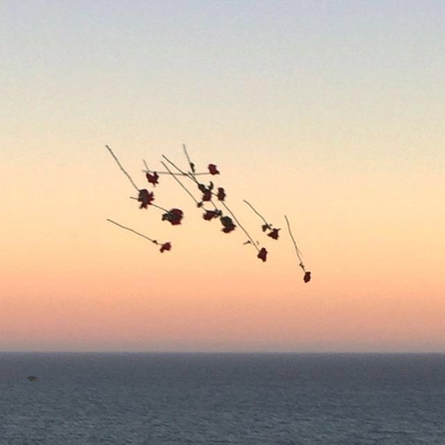 Last night at Festival Del Mar was just amazing! Thank U all so much!!!💋💋💋