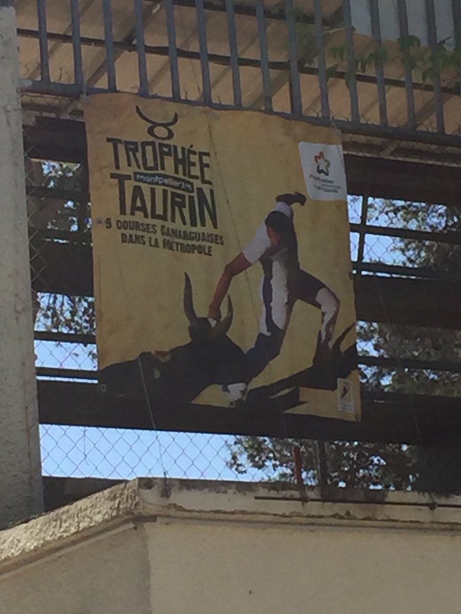FeminineBall's tweet photo. Cérémonie d’ouverture du Trophée Taurin Montpellier Méditerranée Metropole en présence de L’équipe Montpellier Horse-ball. Le 1er juillet a 16h arènes de St Georges d’Orques https://t.co/U2qaDkYo90